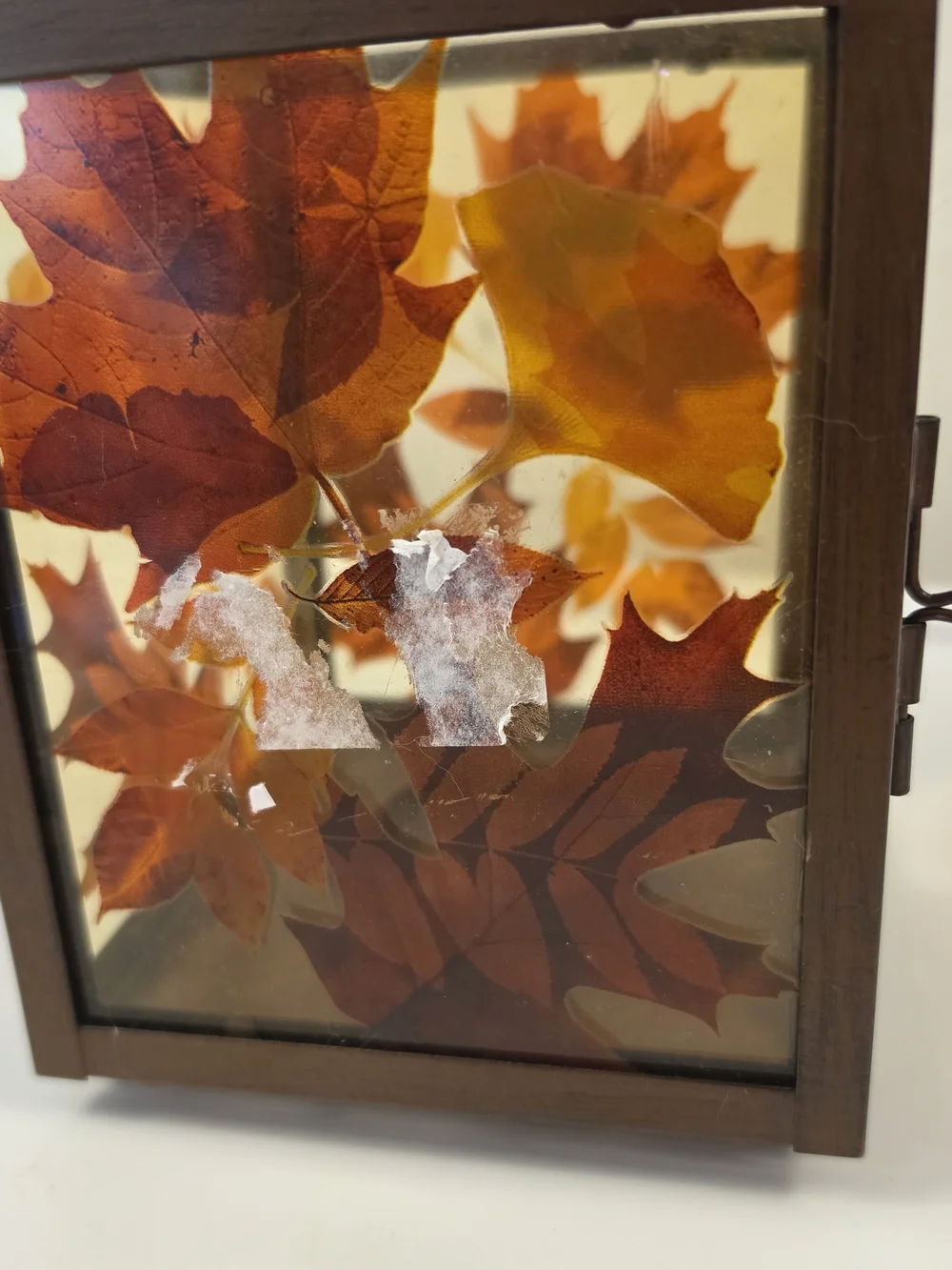 Autumn Leaf Decorative Lantern - Brown Yankee Candle Glass Pressed Leaves